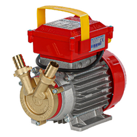 Rover 20 CE - Pompa elettrica da travaso in bronzo - Monofase - 230V