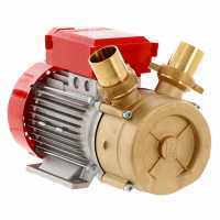 Rover BE-M 50 - Pompa elettrica da travaso in bronzo