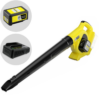 Karcher LBL 4 - Soffiatore a batteria per foglie - 36V 2.5Ah