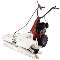 Eurosystems Minieffe - Spazzatrice a scoppio con motore Loncin 196 OHV
