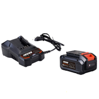 PROMO ECHO - Starter Kit batteria e caricabatteria Echo 40V 4Ah