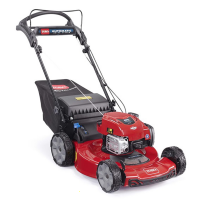 Toro TO-21772 Recycler - Tosaerba a scoppio - Taglio da 55 cm - Motore B&amp;S675 EXI