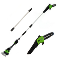 Greenworks G48PS - Potatore su asta di prolunga a batteria 48V - SENZA BATTERIE E CARICABATTERIE