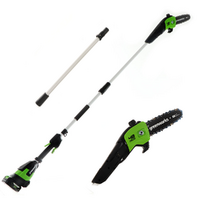 Greenworks G48PS - Potatore su asta di prolunga a batteria 48V -  Batteria 2Ah