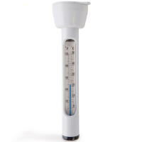 Termometro galleggiante Intex 29039