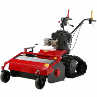 Meccanica Benassi TR 800 - Trinciaerba professionale a martelli - Cingolato - B&amp;S 3125E