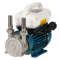 Tellarini ALM 20-SR - Pompa elettrica da travaso per olio in acciaio inox - Raccordi in INOX dritti - Monofase - 230V - Scegli i tuoi raccordi!