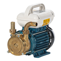 Tellarini EEM 20 - pompa da travaso in ottone - Monofase - 230V