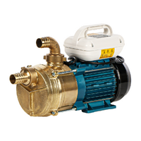 Tellarini EEM 30 - Pompa elettrica da travaso in ottone - Monofase - 230V