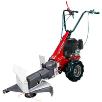 Eurosystems Minieffe - Decespugliatore a ruote a benzina - Loncin 196 OHV