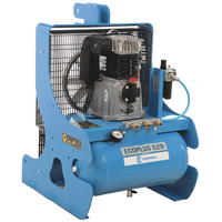 OUTLET - DIFETTI ESTETICI - Campagnola PTO ECOPLUS 520 - Compressore con attacco a trattore - Raccolta olive e potatura