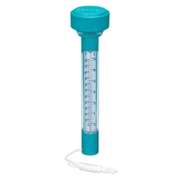 Termometro galleggiante Bestway 58072