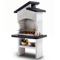 Palazzetti Procida 2 - Barbecue in muratura a legna e carbone