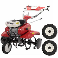 OUTLET - PICCOLI DIFETTI ESTETICI - GeoTech-Pro PGT 700 - Motozappa a benzina 7 HP - Cambio marce 2+1 retromarcia