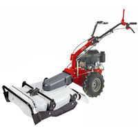 Eurosystems P55 - Trinciaerba a scoppio - Falciatutto PRO - Loncin 196 cc