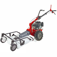 Eurosystems P55 - Trinciaerba a scoppio - Falciatutto PRO V2 - Loncin 196 cc