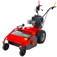 Meccanica Benassi TR 600 - Trinciaerba professionale a martelli - B&amp;S 3125E