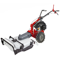 Eurosystems P55 - Trinciaerba a scoppio - Falciatutto PRO - Rato RV200