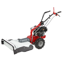 Eurosystems P55 - Trinciaerba a scoppio - Rato RV200