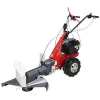 Eurosystems Minieffe RM - Decespugliatore a ruote a benzina - B&amp;S 675 iSi