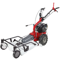 Eurosystems P55 EVO - Trinciaerba a scoppio - Falciatutto PRO V2 - B&amp;S 675 iSi