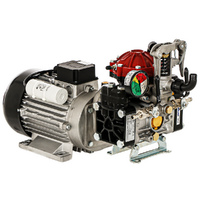 Annovi reverberi AR 30 EM - Motopompa elettrica per irrorazione con motore monofase