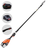 Echo DPPT-2600LW - Potatore a batteria su asta - 56V 5Ah