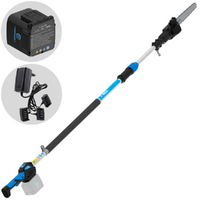 Campagnola T-REX 250-300 - Potatore manuale elettrico a batteria su asta  - Batteria da 21,6V 5Ah