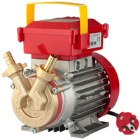 Rover BE-M 14 OIL - Pompa elettrica da travaso per olio in bronzo - Monofase - 230V