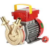Rover BE-M 25 - Pompa elettrica da travaso in bronzo - Monofase - 230V