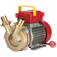 Rover 40 CE - Pompa elettrica da travaso in bronzo - Monofase - 230V