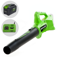 Greenworks G24ABO - Soffiatore assiale a batteria 24V 10Ah
