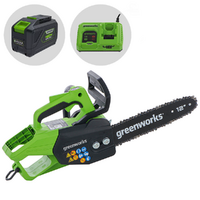 Greenworks GD48TCS - Elettrosega a batteria 48V 5Ah - Lama da 30cm