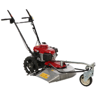 Honda UM 536 EE2 - Trinciaerba a scoppio - GXV 160 - 163 cc