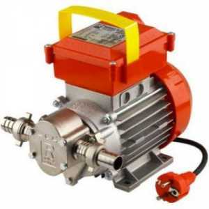 Pompa elettrica da travaso ad ingranaggi Rover Novax G 20 - 0.6 HP - In lega antiossidante