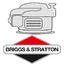 Motore B&S