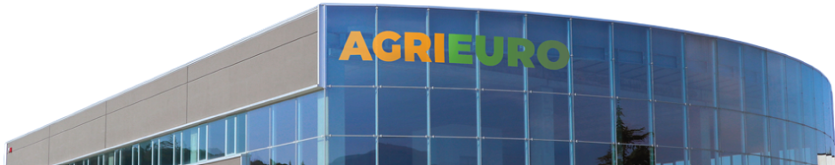 Company no background